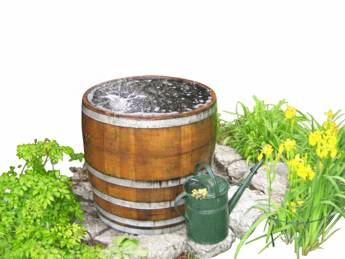 Regentonnen & FaßTeiche